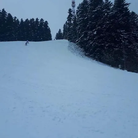 Chata Janosik بيت خشبي Vyšné Ružbachy