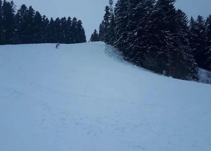 Chata Janosik אכסניה Vyšné Ružbachy